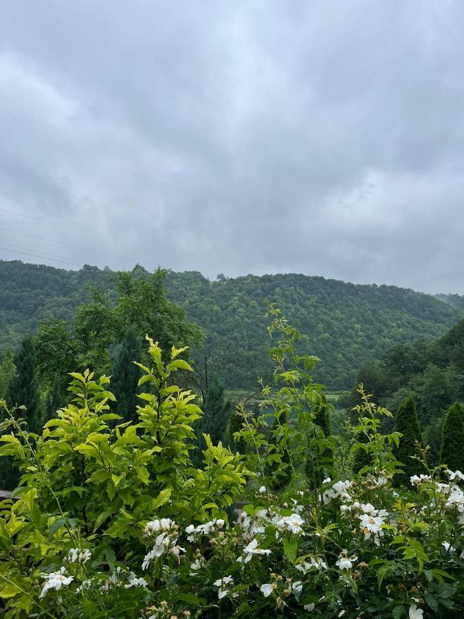 Villa Nature Бихач Экстерьер фото